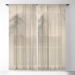 Pine Trees Six-Fold Azuchi-Momoyama Period Japanese Screen - Hasegawa Tohaku Sheer Curtain