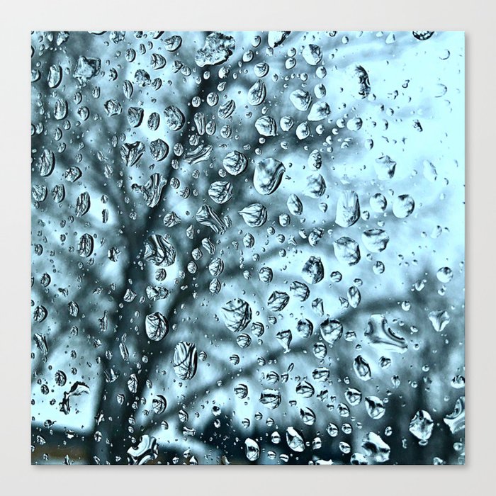 Water Droplets Canvas Print