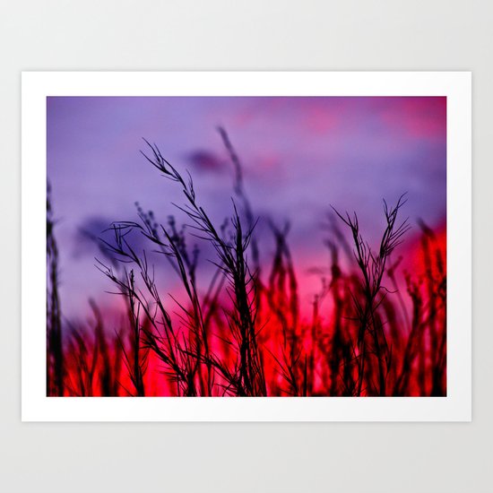 Colors to the West Art Print
