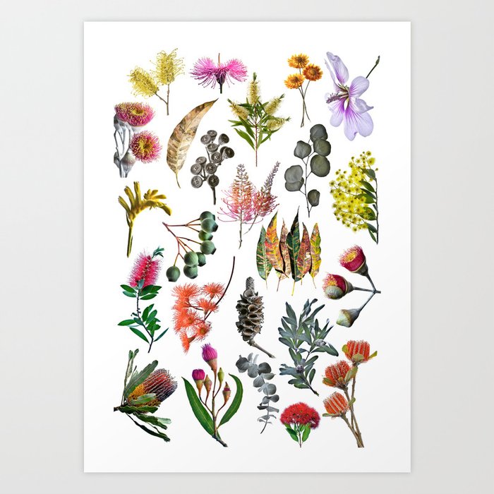 Australian Nature Collage Art Print