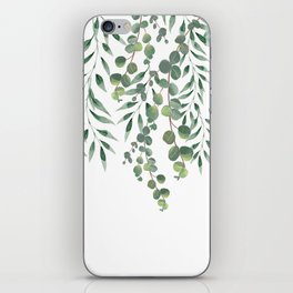 Eucalyptus Leaves  iPhone Skin