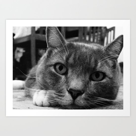 Kitty Art Print