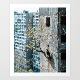 Urban Architecture with Blooming Tree and Bird – Urban Photography Art Print