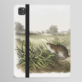 Yellow cheeked Meadow Mouse  from the viviparous quadrupeds of North America (1845) illustrated by John Woodhouse Audubon iPad Folio Case