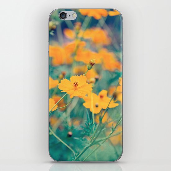Secret Garden iPhone & iPod Skin