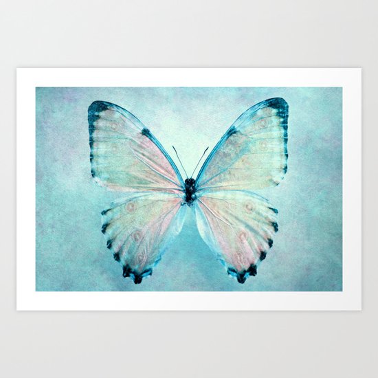 blue butterfly Art Print