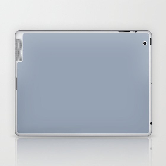Gull Gray Laptop & iPad Skin