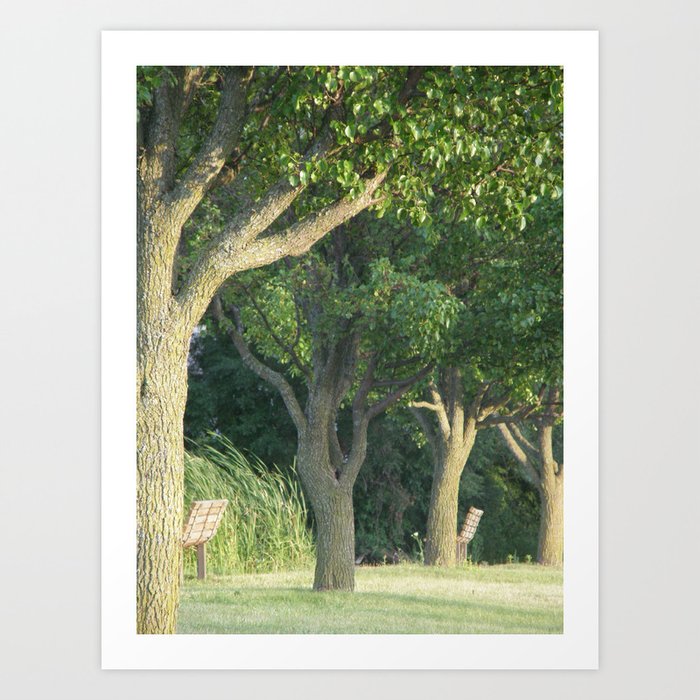 Beyond The Trees Is New Life  Art Print