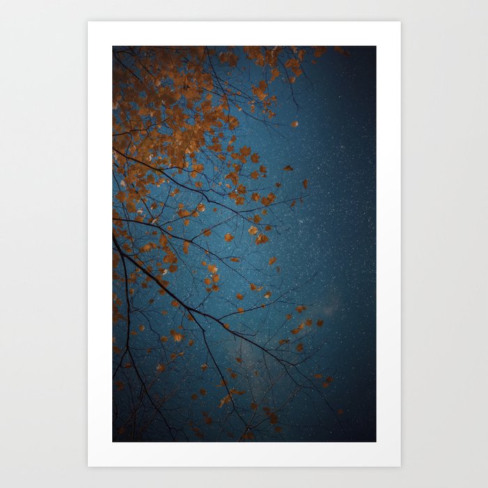 Burnt Orange Leaves on Midnight Blue Sky Art Print