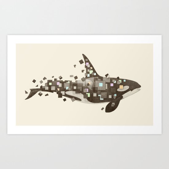 Fractured Killer Whale Art Print