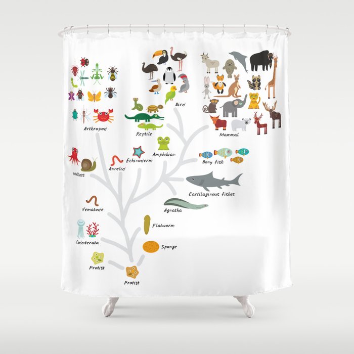Education Back To Scool Shower Curtain, Childrens Shower Curtains