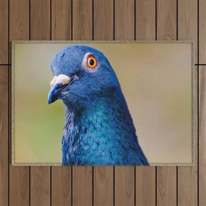 Portrait of a Happy Pigeon Photograph Outdoor Rug