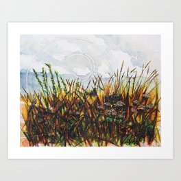 High Country Weeds Art Print | Painting, Watercolor, Ink 