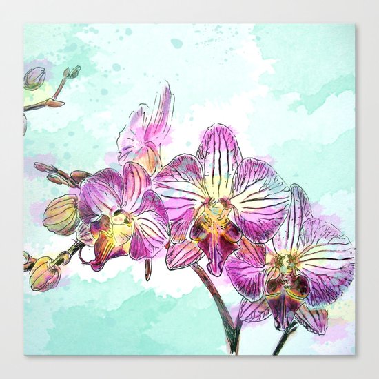 Orchids 02 Canvas Print
