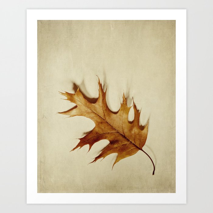 just a leaf Art Print
