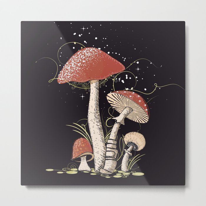 Different mushrooms Metal Print