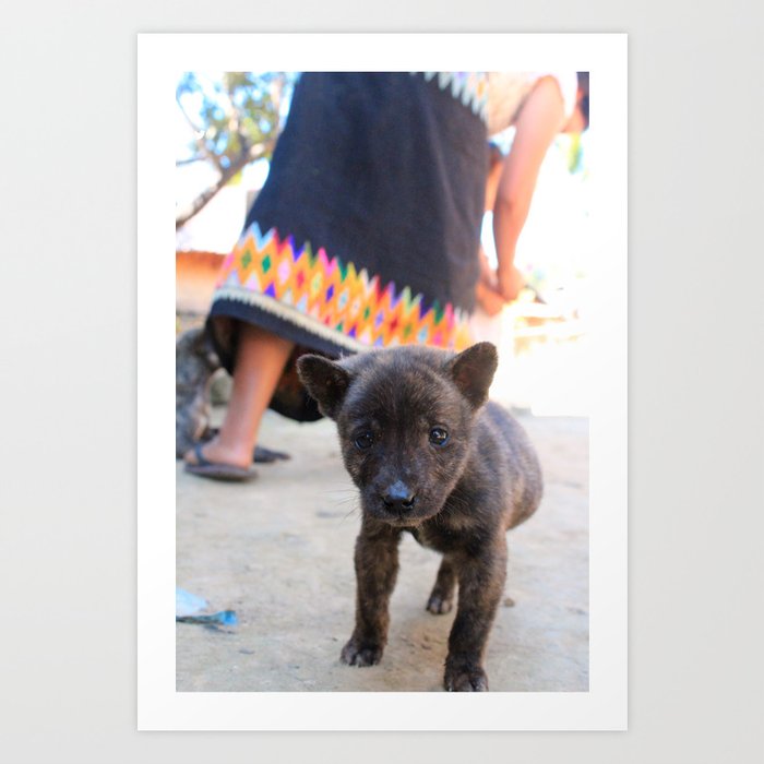 Cutest 3 Legged Puppy Dog In The World Art Print