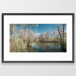 Pond Water Framed Art Print