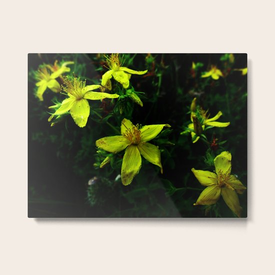 Flying Metal Print