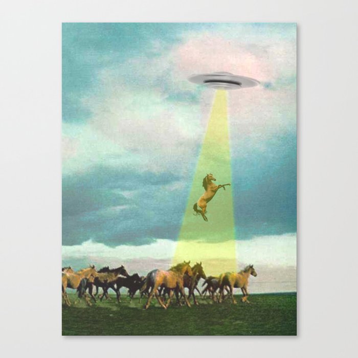 They too love horses (UFO) Canvas Print