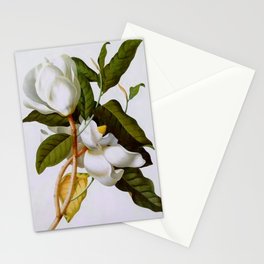 Vintage Botanical White Magnolia Flower Art Stationery Card