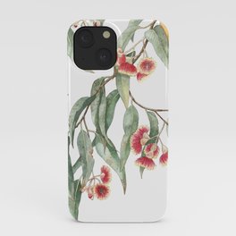 Flowering Eucalyptus Branch iPhone Case