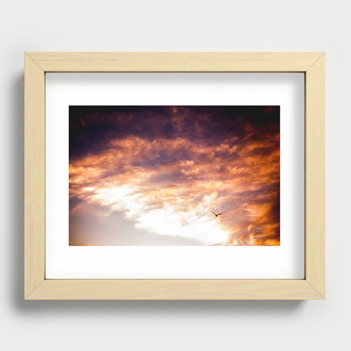 Sunset Gull Recessed Framed Print