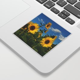 Sunflowers 11 Sticker