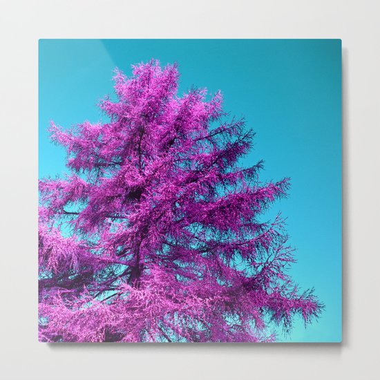 purple fir - tree I Metal Print