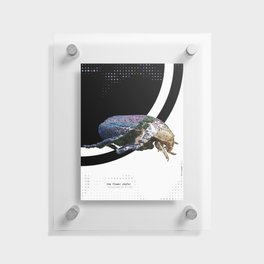 The Flower Chafer, metainsects 01/03 Floating Acrylic Print
