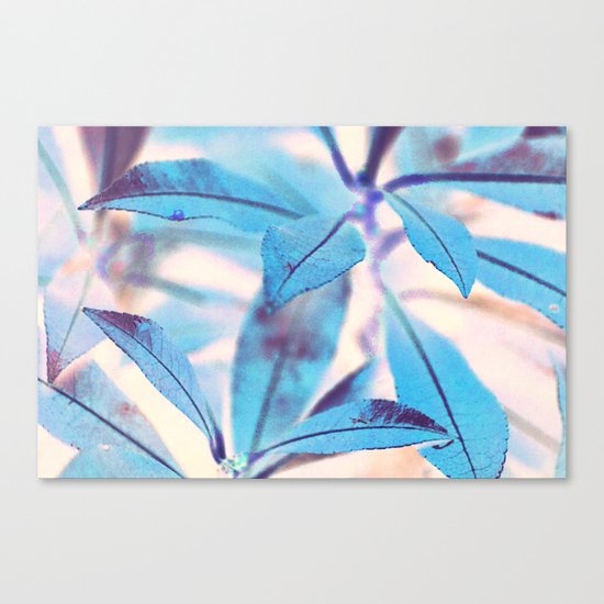 #117 Canvas Print