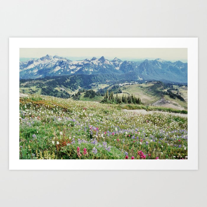 Wildflower Meadow Kunstdrucke Wildflower Meadow Kunstdrucke