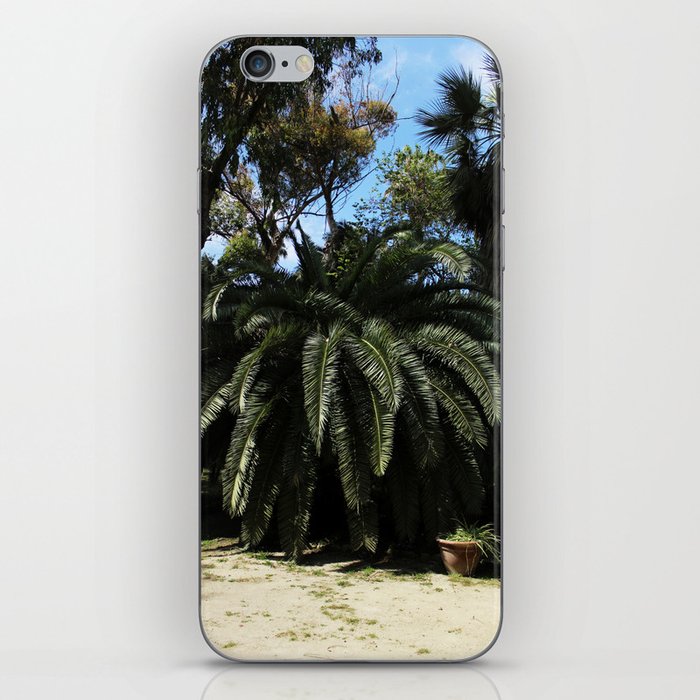 Majestic Palm Trees II iPhone Skin