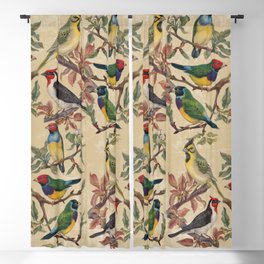 Vintage Birds Blackout Curtain