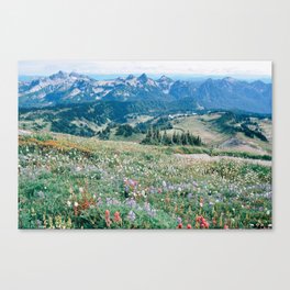 Wildflower Meadow Canvas Print
