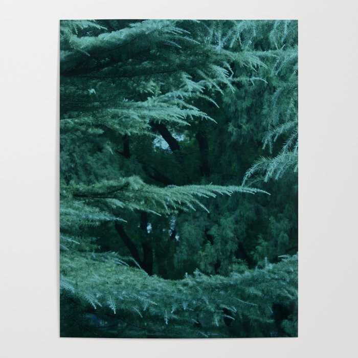 Forest by Lika Ramati Poster