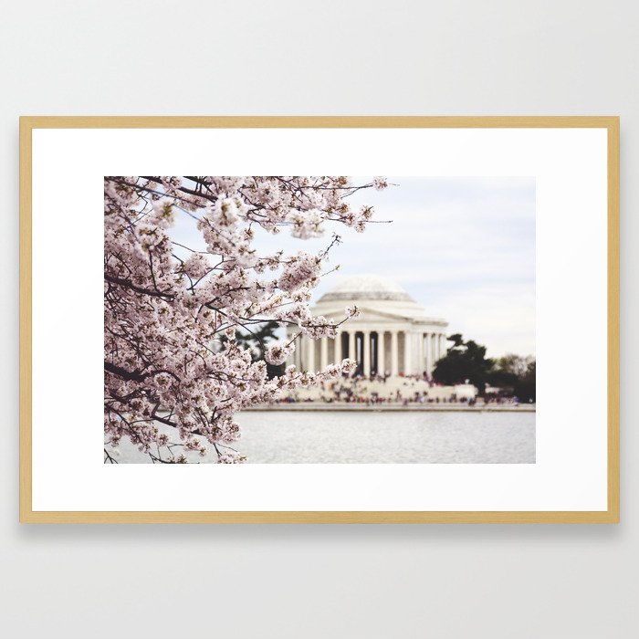Cherry Blossoms & the Jefferson Memorial Framed Art Print
