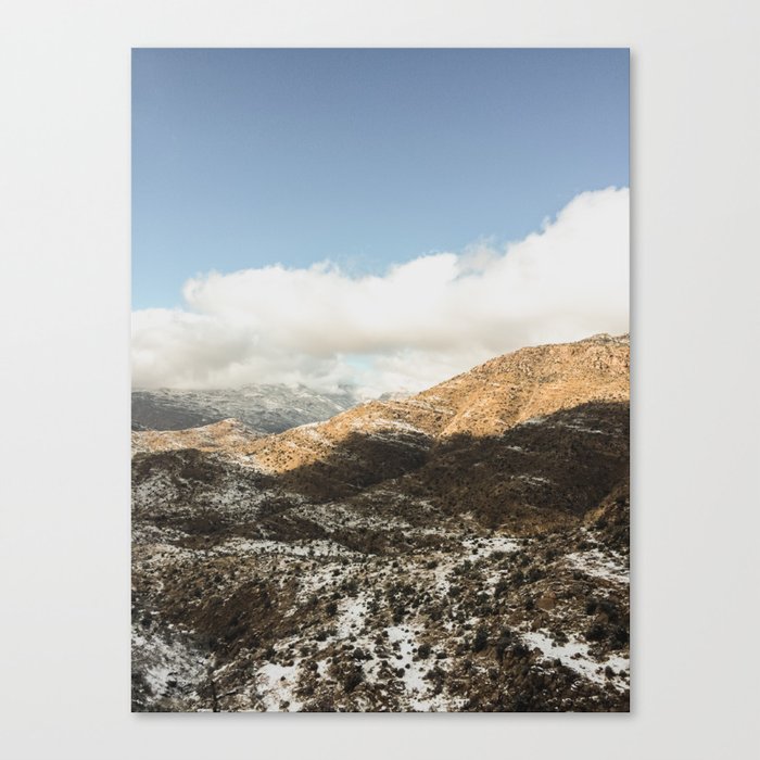 Coronado Forest  (iPhone) Canvas Print