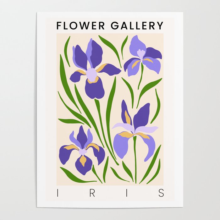 Iris Flower Gallery Poster