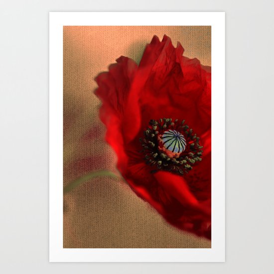 Poppies(romantic). Art Print