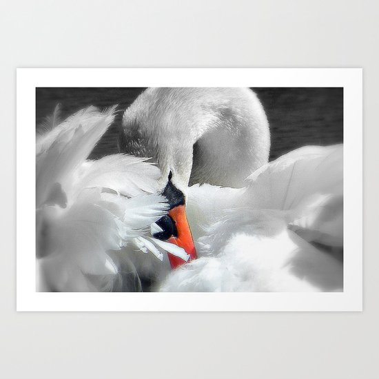 Soft As A Feather Art Print