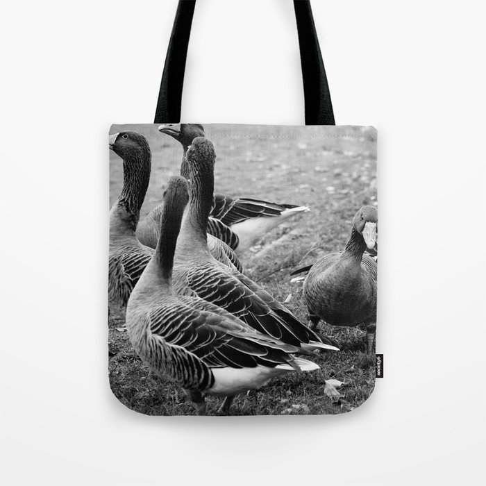 Flock of greylag geese in black and white | Waterfowls in monochrome Tote Bag