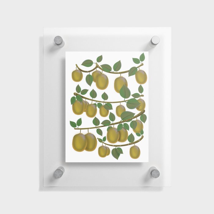 Kiwi Fruit Floating Acrylic Print