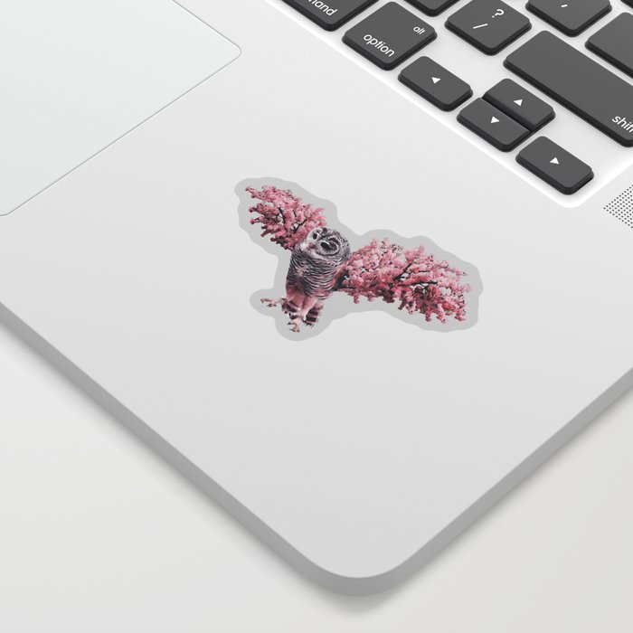 Sakura Owl Sticker