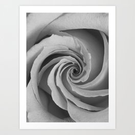 Black and White Rose Art Print