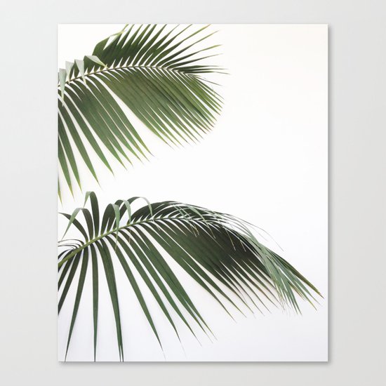 Fronds Canvas Print