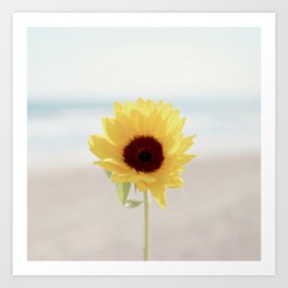 Daylight flower Art Print | Other, Digitalmanipulation, Flower, Beach, Film, Photo, Hdr, Color, Calm, Yellow 