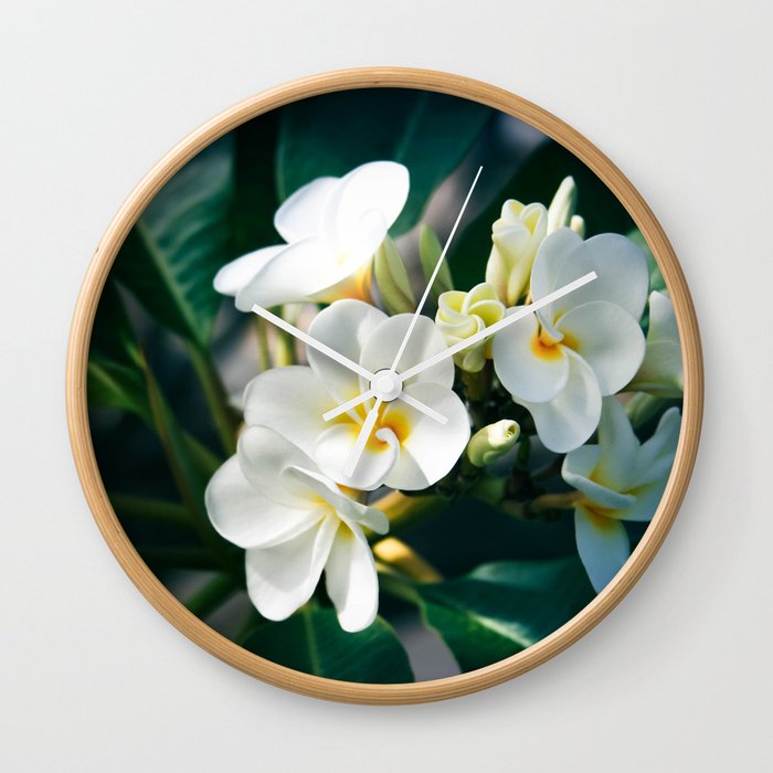 Pua Melia Na Puakea Onaona Tropical Plumeria Maui Hawaii Wall Clock