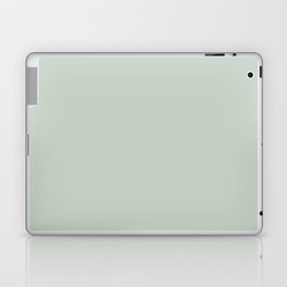 Light Gray-Green Solid Color Pantone Dewkist 13-0107 TCX Shades of Green Hues Laptop Skin