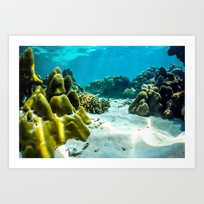 Underwater Coral Landscape Art Print